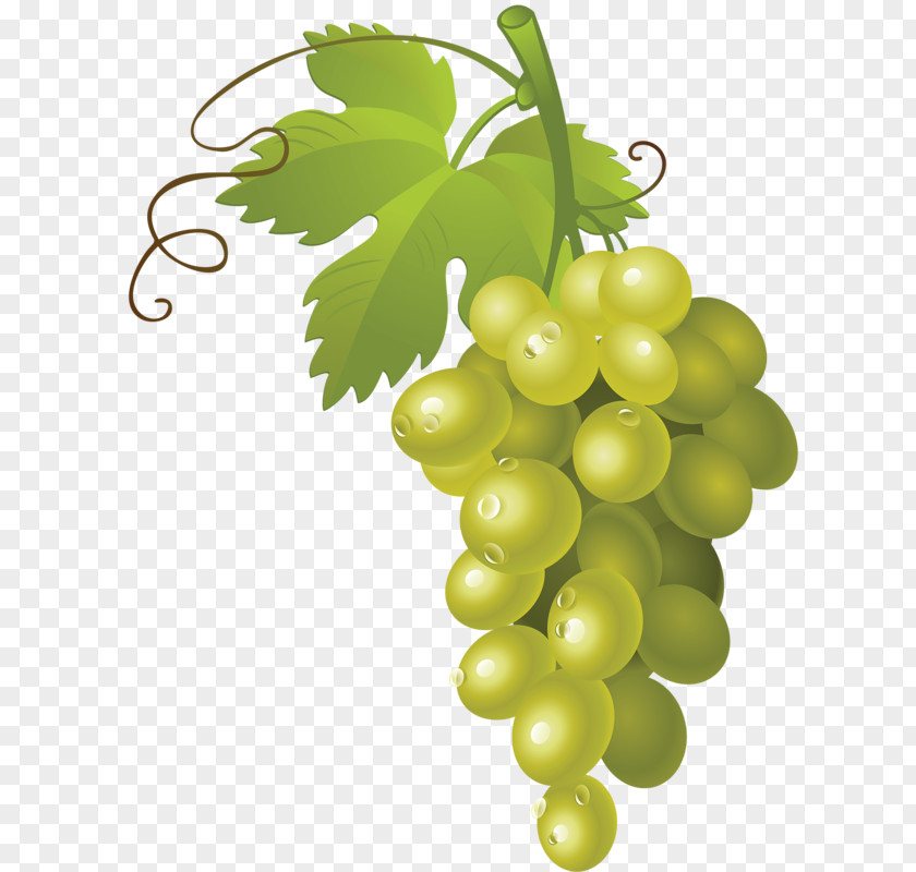 A Bunch Of Grapes Common Grape Vine Wine Clip Art PNG