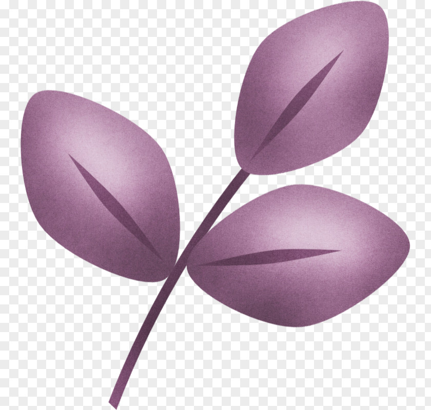 Design Plant PNG