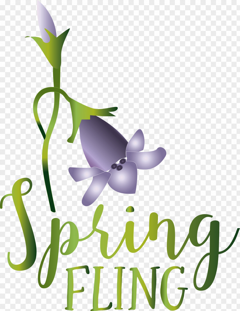 Floral Design PNG