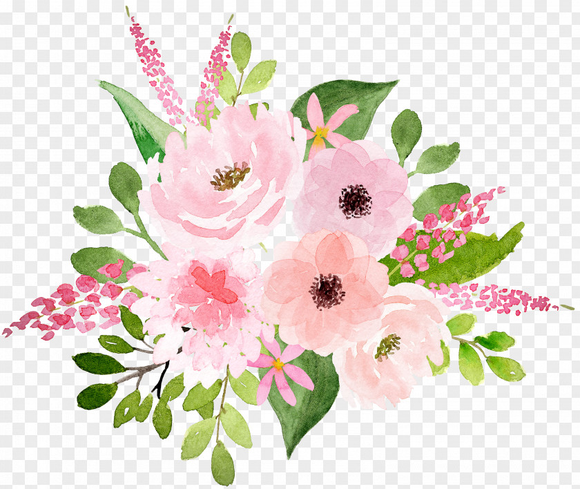 Floristry Flowering Plant Floral Design PNG