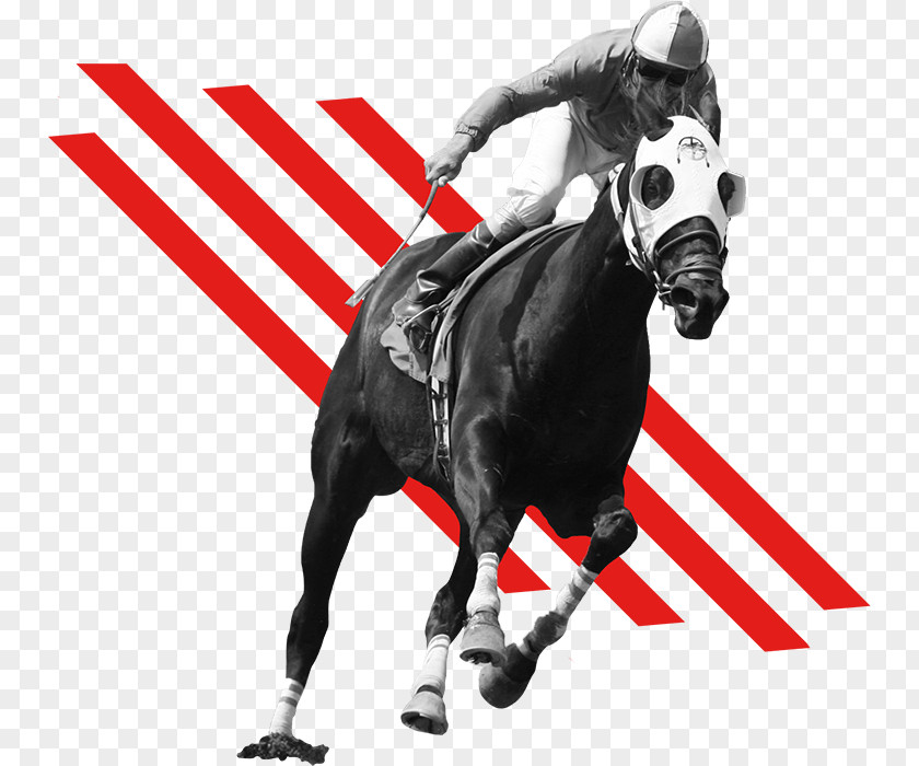 Ihorse Racing Free Horse Game Meydan Racecourse Thoroughbred Standardbred Woodbine Racetrack PNG