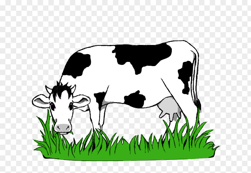 Pasture Clipart Dairy Cattle Kereman Ox Texas Longhorn Clip Art PNG