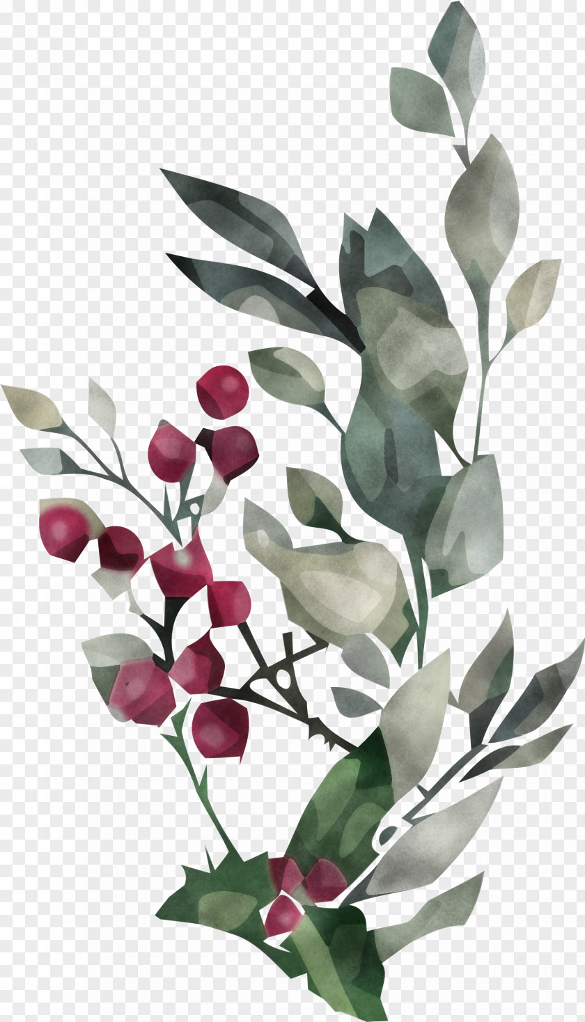 Plant Stem Flower Twig Tree Fruit PNG