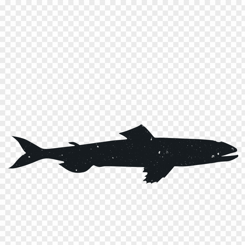Animal Silhouettes Silhouette Black Airplane Marine Mammal PNG