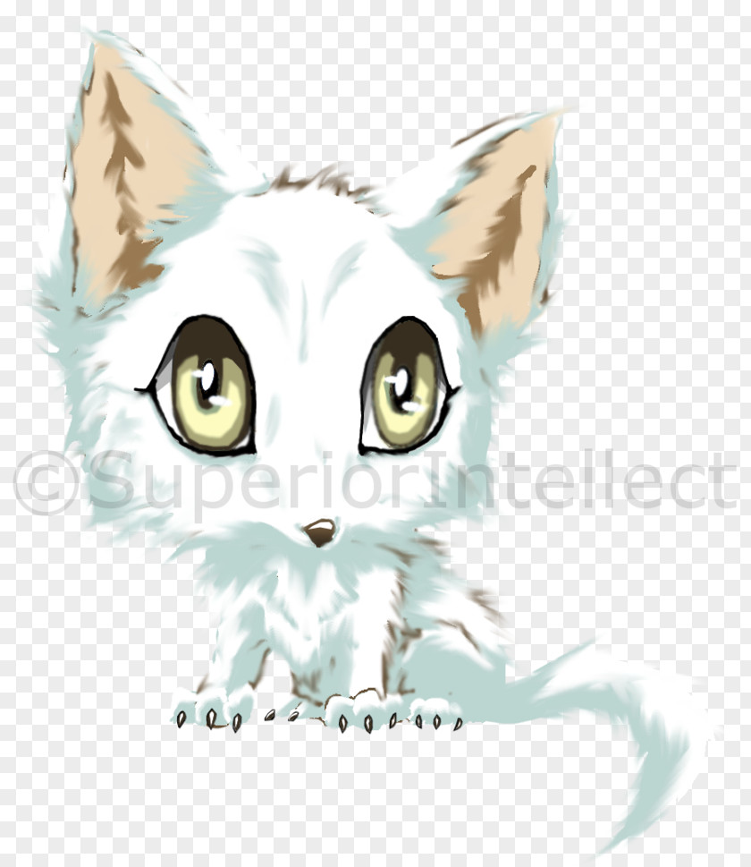 Arctic Fox Pet Whiskers Drawing Illustration Cat Cartoon PNG