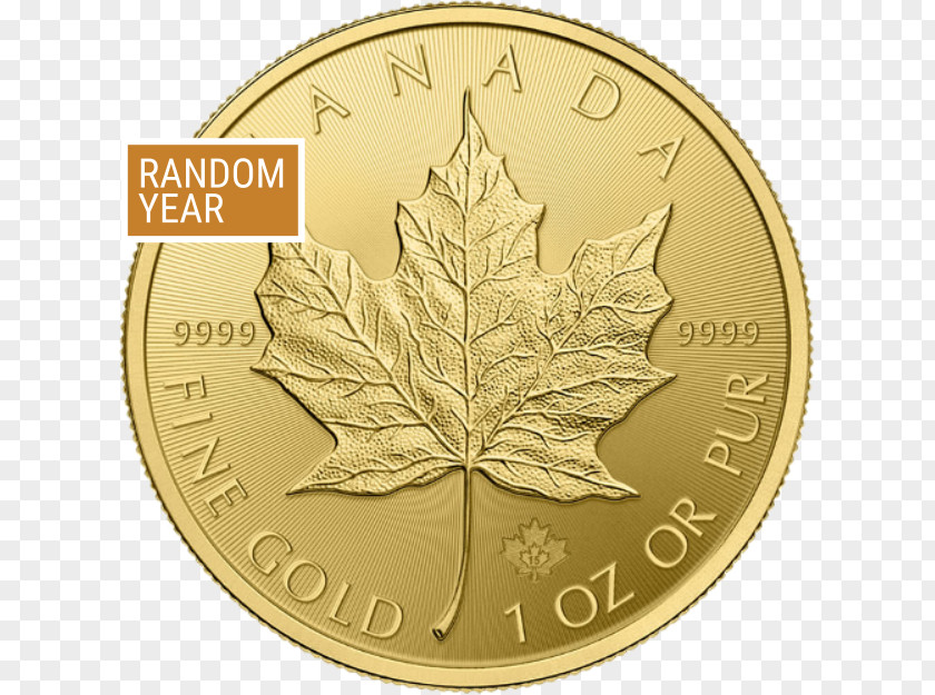 Gold Coin Canada Canadian Maple Leaf Bullion Ounce PNG