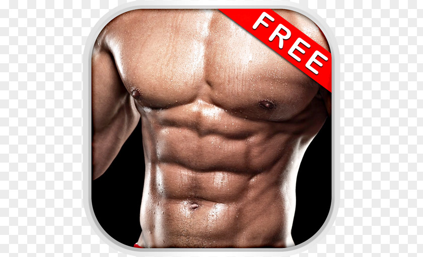 Bodybuilding Abdomen Exercise Personal Trainer Human Body PNG
