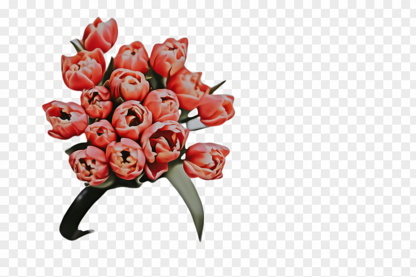 Bud Lily Family Flower Cartoon PNG