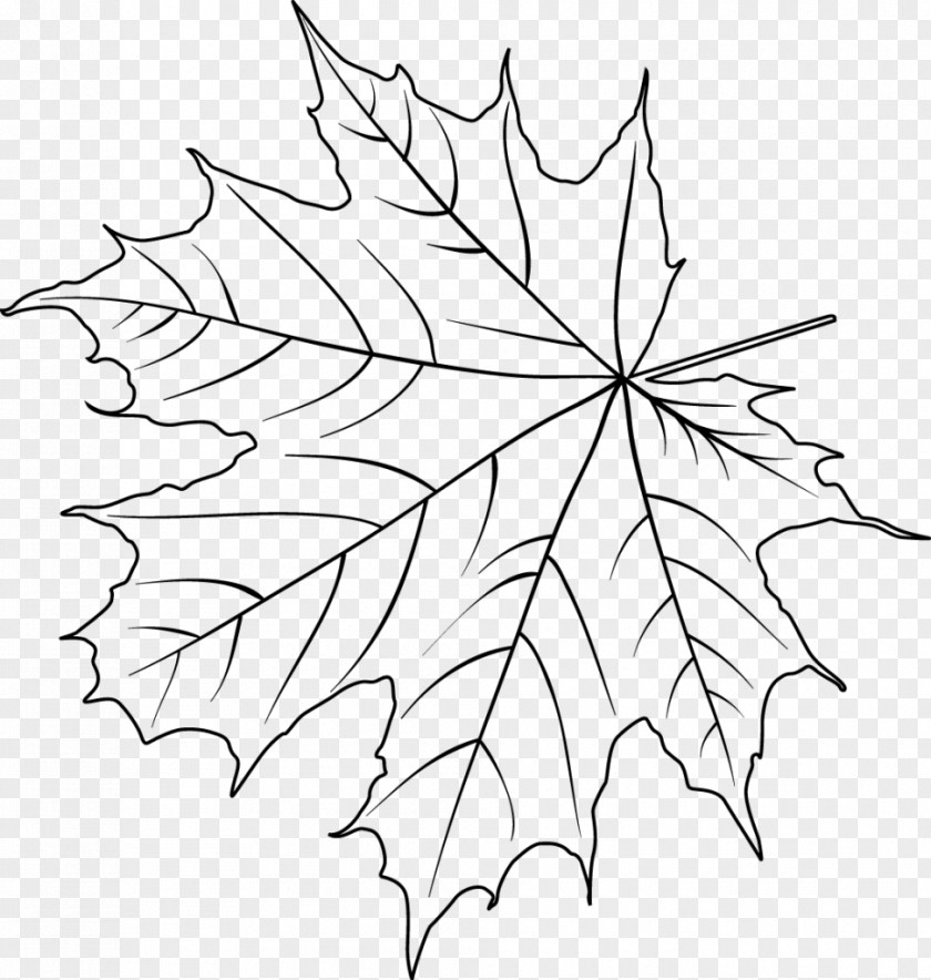 Christmas Day Drawing Flower Poinsettia Painting PNG