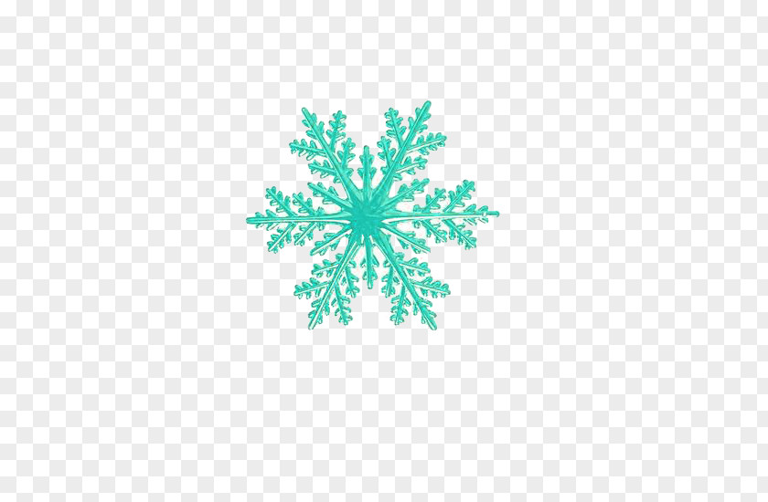 Nice Blue Snowflake Stock Photography Royalty-free Clip Art PNG