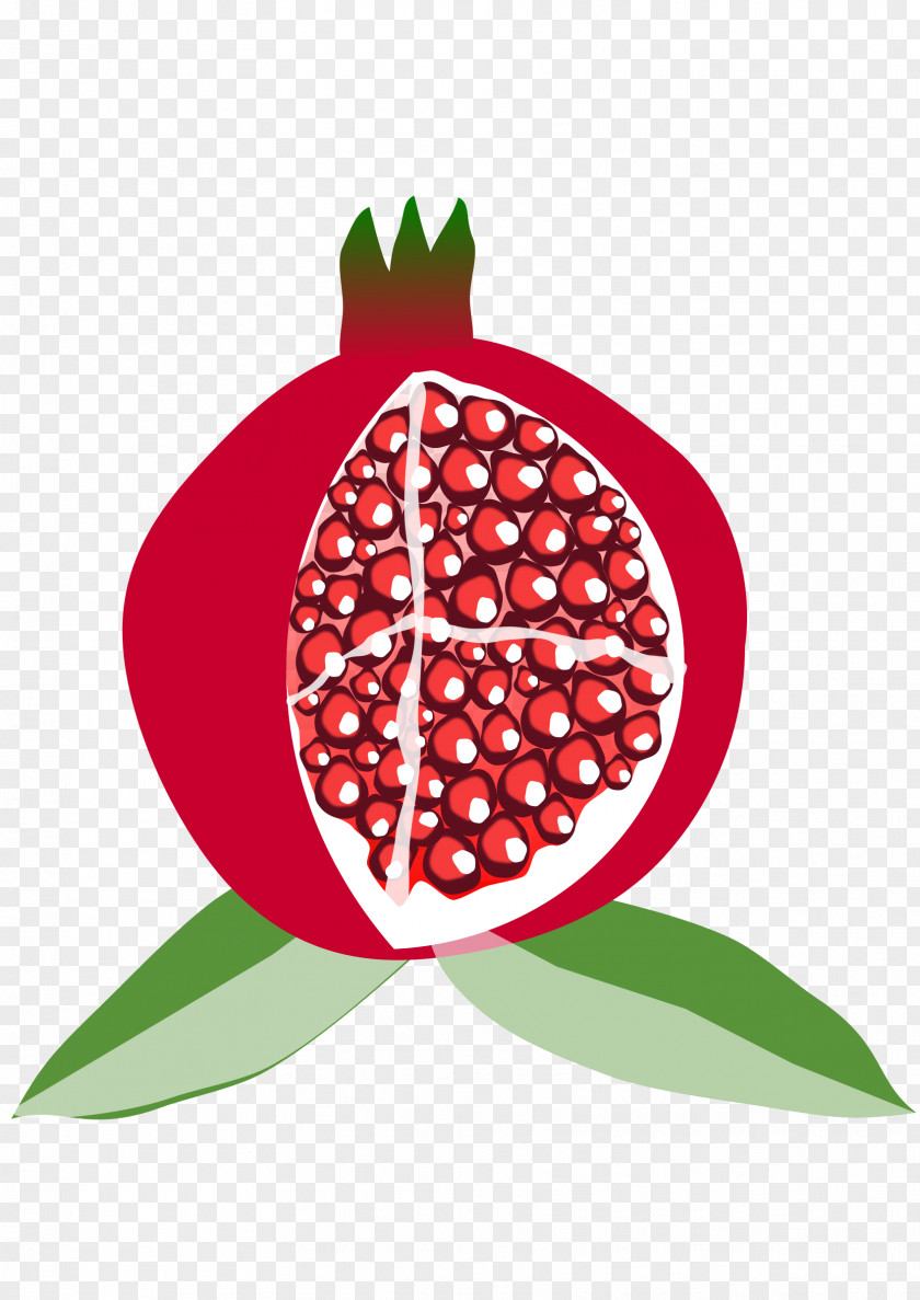 Pomegranate Available In Different Size Fruit Mediterranean Basin Clip Art PNG