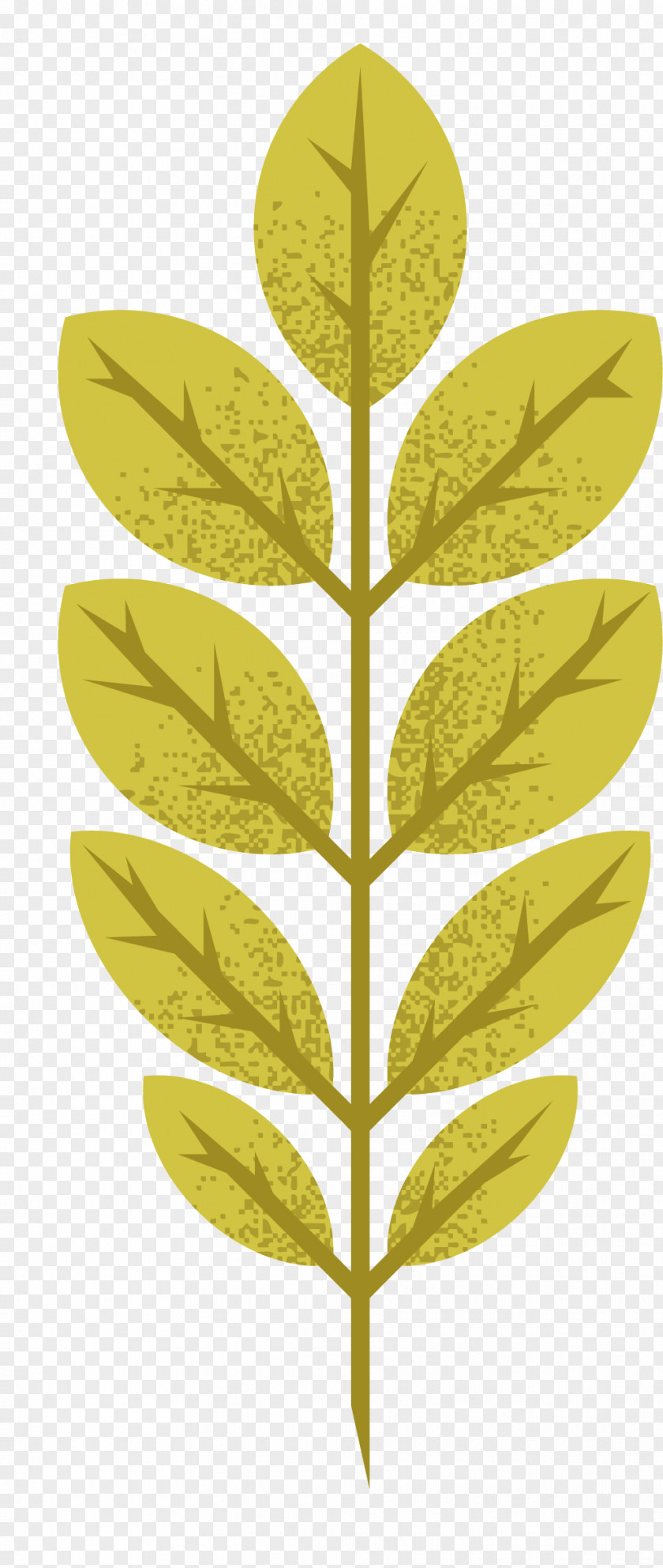 Autumn Leaves Collection Vector Material Maple Leaf PNG