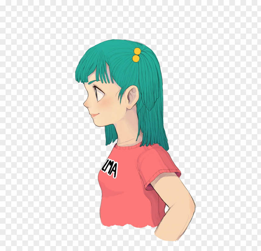 Bulma Master Roshi Chi-Chi Dragon Ball Super Hair PNG