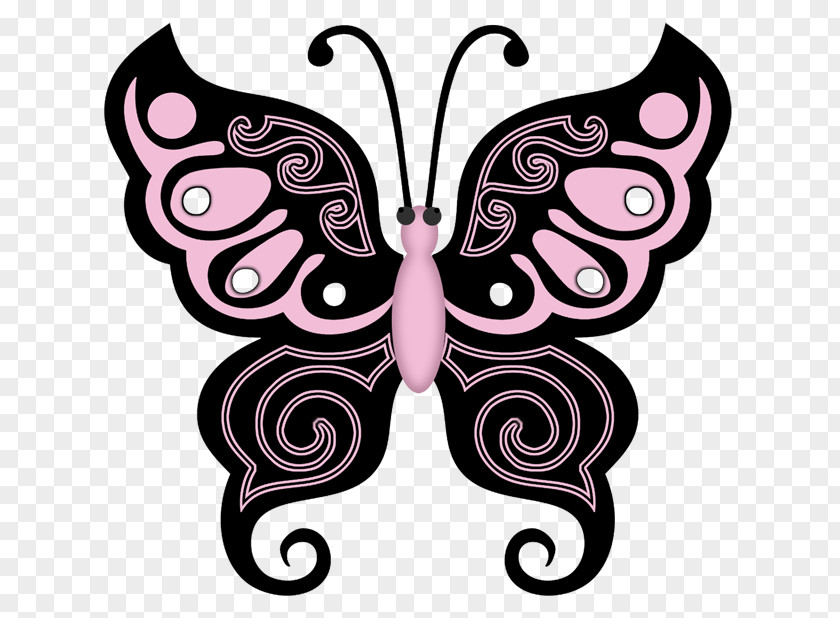 Butterfly Drawing Clip Art PNG