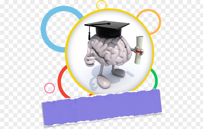 Childhood Memory Brain N-back Photography PNG