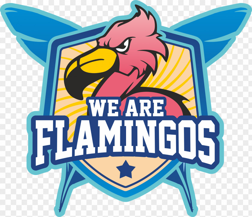 Flamingos Cartoon Logo Clip Art PNG