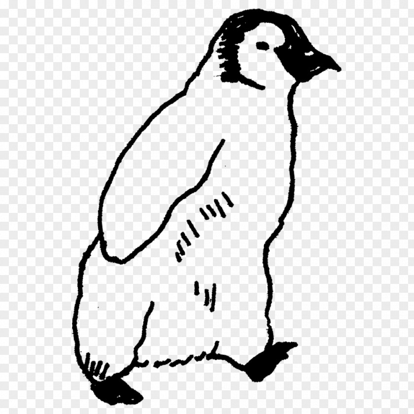 Penguins Birds Flightless Bird Dog Beak PNG