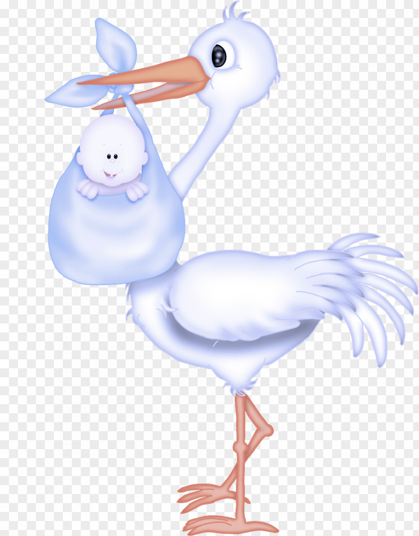 Bird Stork Cartoon Ciconiiformes Beak PNG