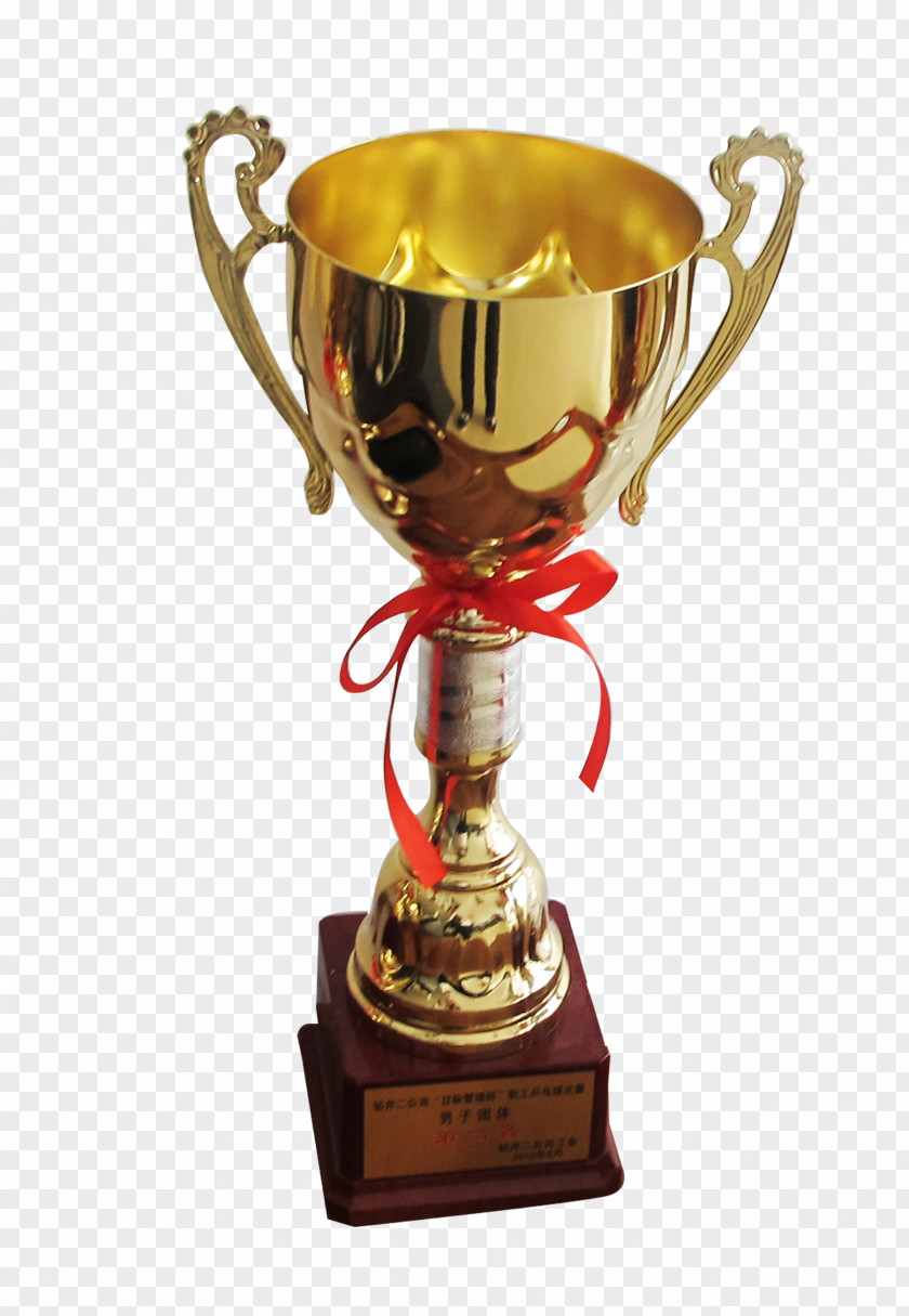 Cup Trophy Icon PNG