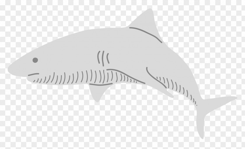 Decorative Shark White Pattern PNG