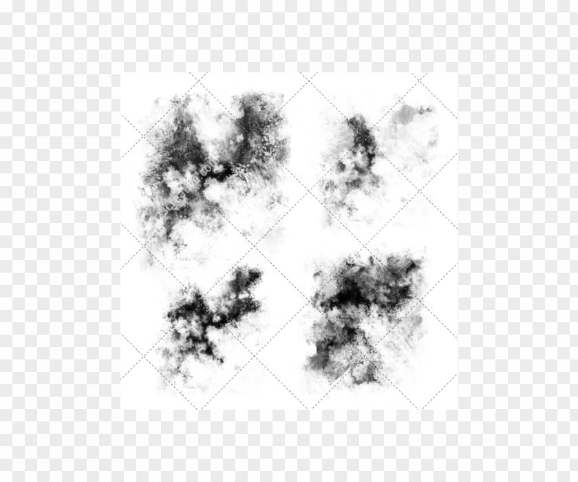Painting Drawing Brush Adobe Photoshop Elements PNG