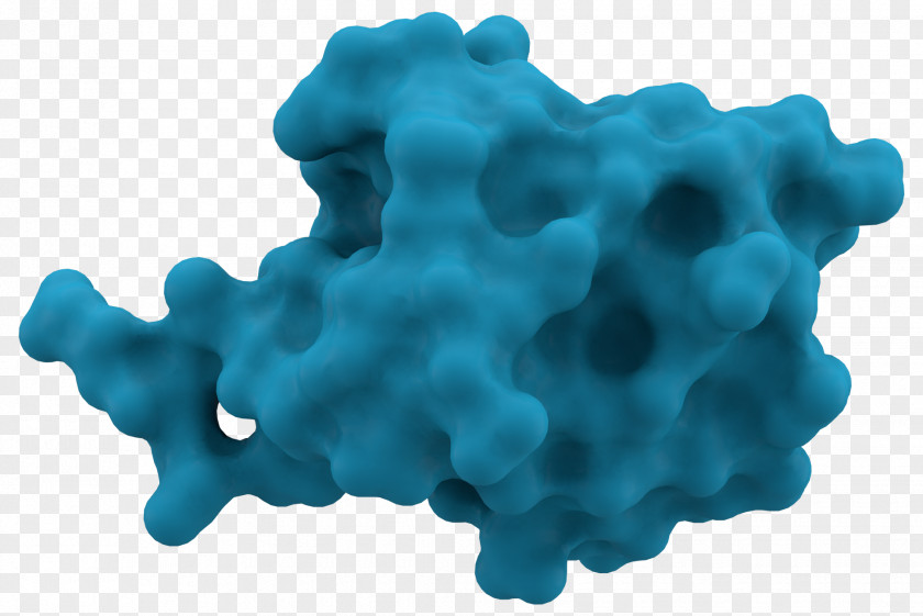 Ubiquitination Protein Proteasome Proteolysis PNG