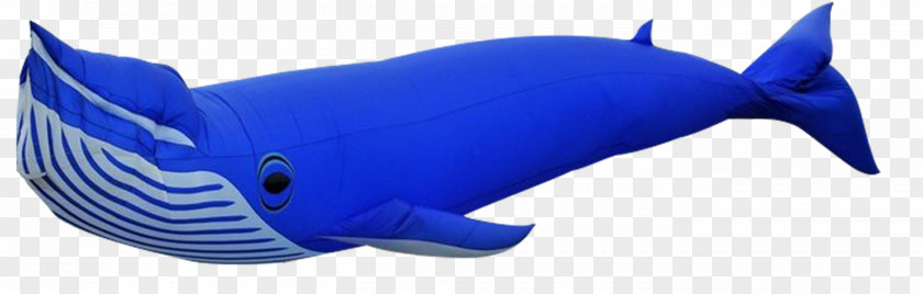 Whale Balloon Right Whales Download PNG