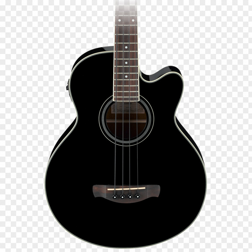 Bass Guitar Acoustic Electric PNG