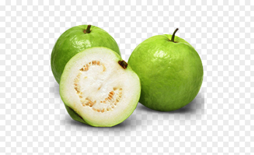 Common Guava Tropical Fruit Juice Vesicles PNG