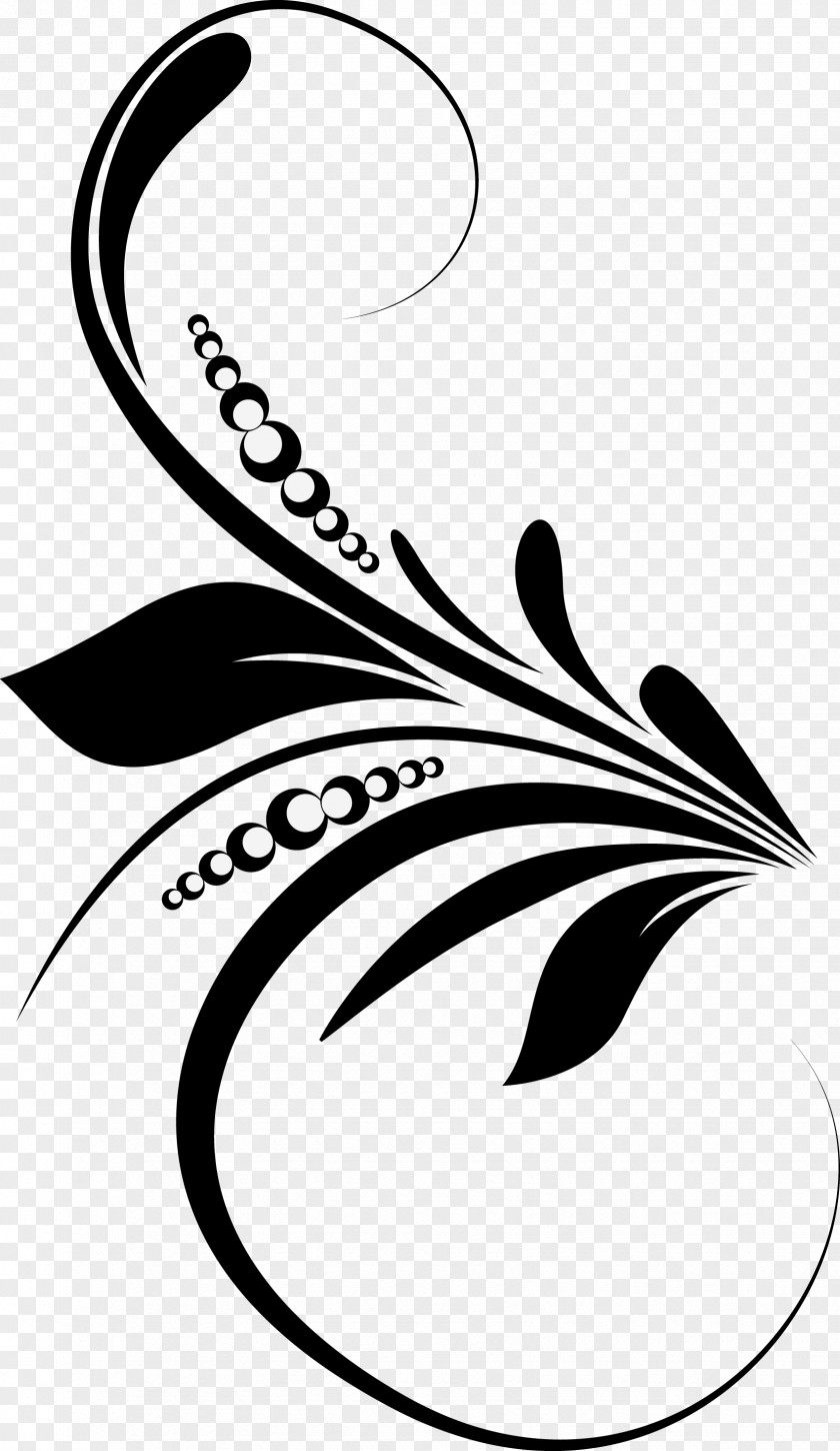 Design Graphic Line Art Leaf Clip PNG