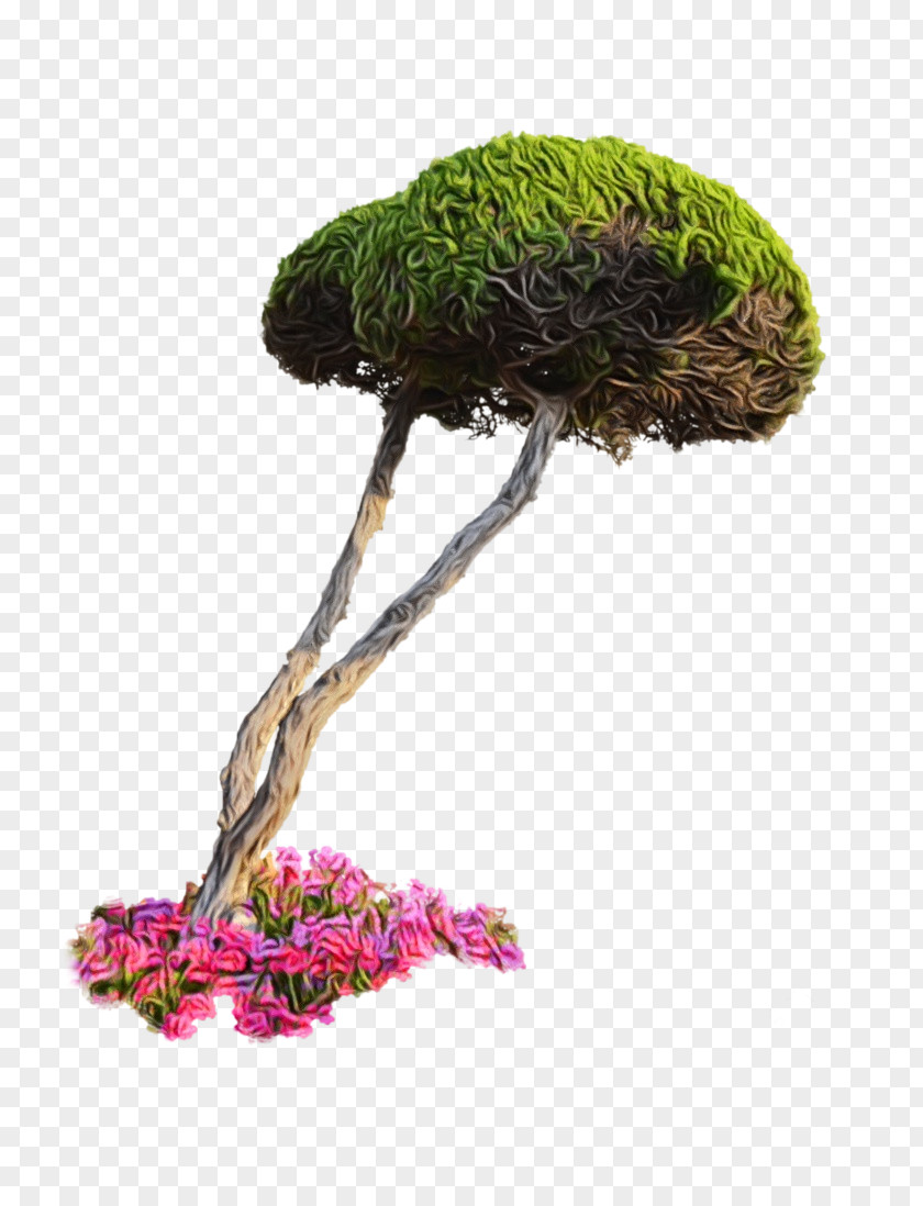Flowerpot Houseplant Bonsai Tree PNG