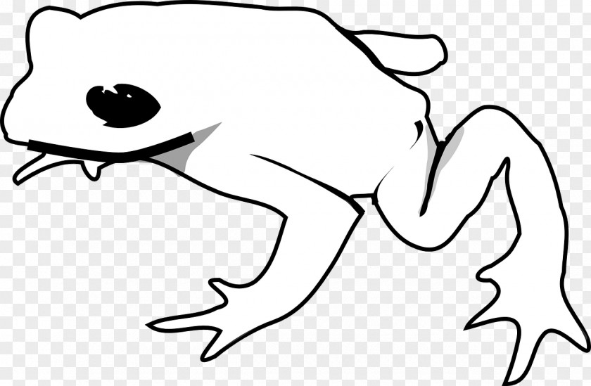 Frog American Green Tree Drawing Clip Art PNG