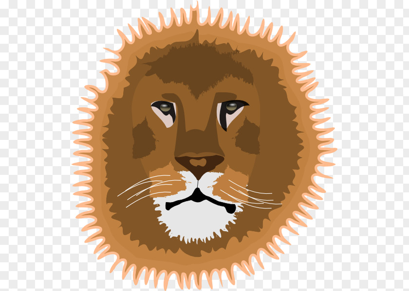 Lion Lionhead Rabbit Whiskers Cat Cougar PNG