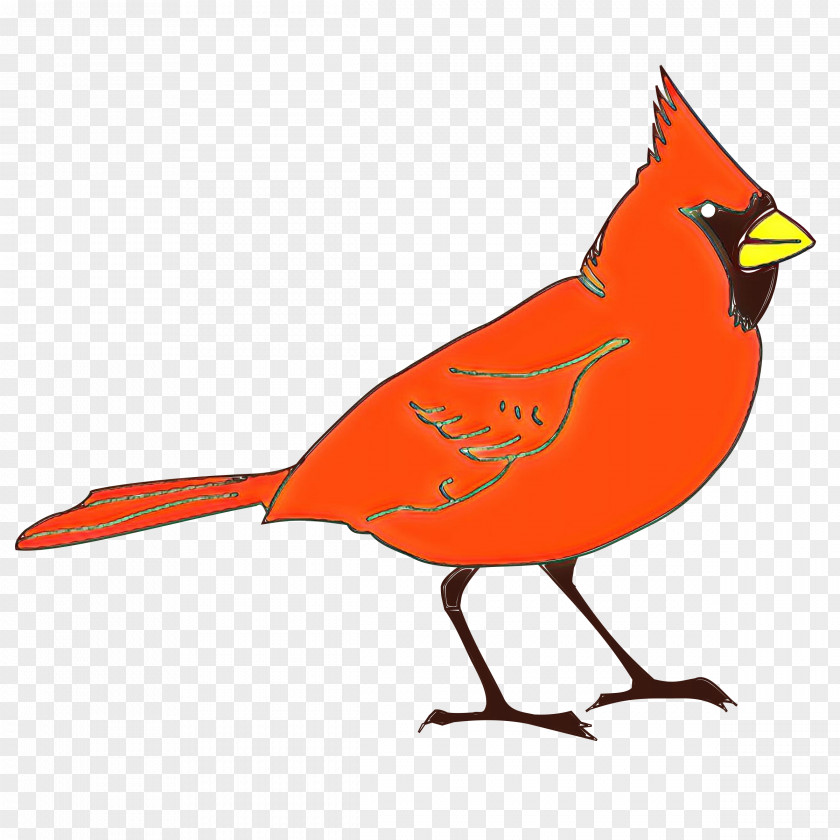 Northern Cardinal Bird St. Louis Cardinals Clip Art PNG