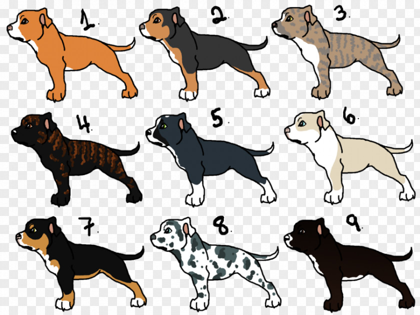 Puppy Dog Breed American Pit Bull Terrier Cat PNG