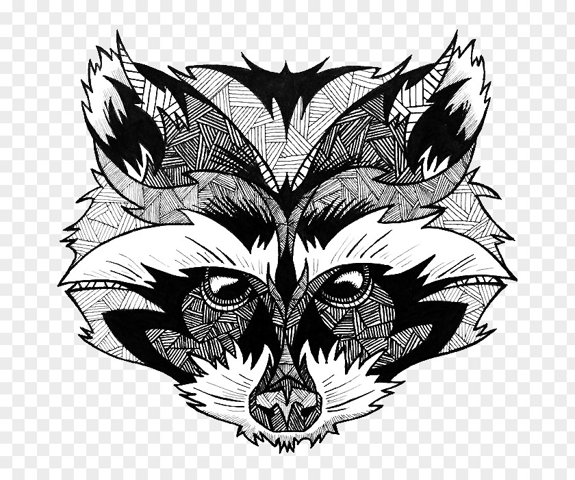 Raccoon Coloring Book Drawing Adult PNG