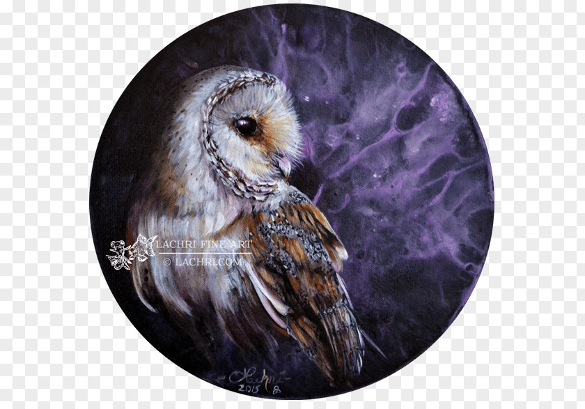 Bird Watercolor Barn Owl Painting Oil Paint PNG