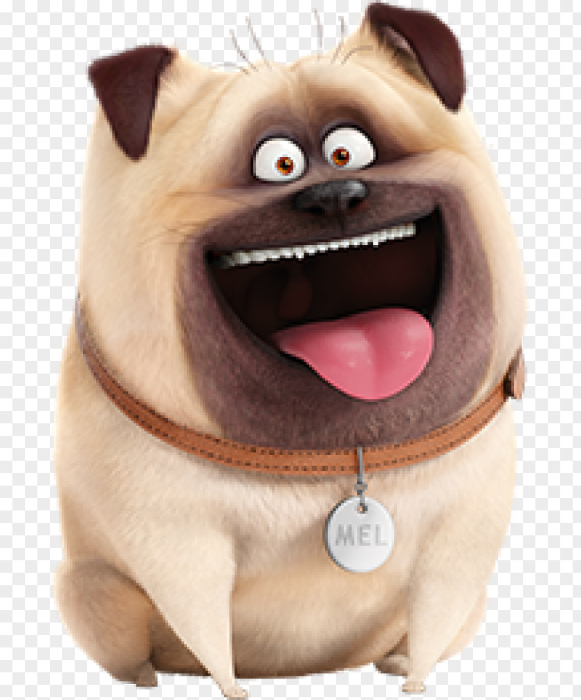 Cartoon Pugs Pug Mel Max The Secret Life Of Pets Animation PNG