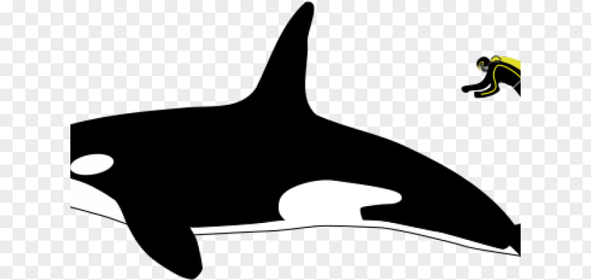 Dolphin Silhouette Killer Whale Whales Clip Art Great White Shark Leopard Seal PNG