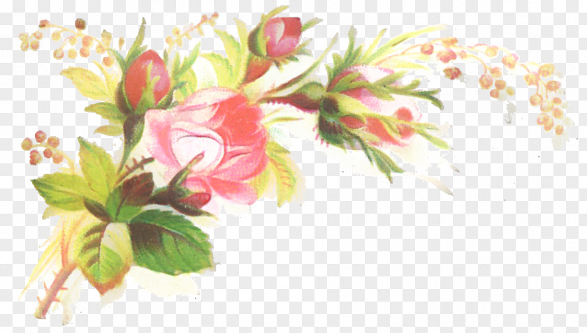 Floral Design Flower Bouquet Clip Art PNG