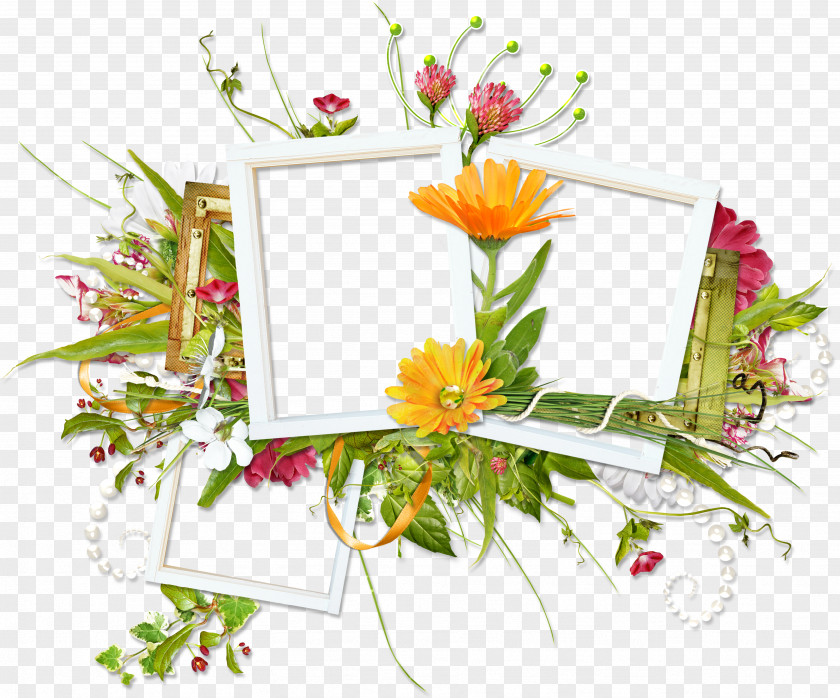 Flower Floral Design Picture Frames Scrapbooking Bouquet PNG