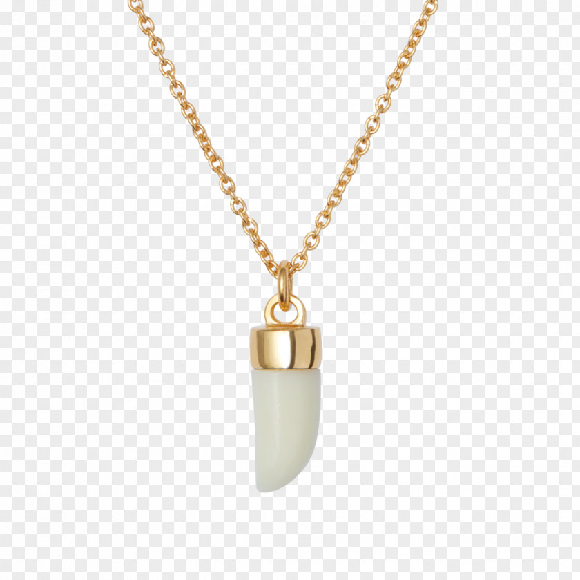Jewellery Charms & Pendants Necklace Carat Gold PNG