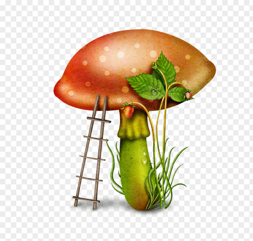Mushroom Download Clip Art PNG
