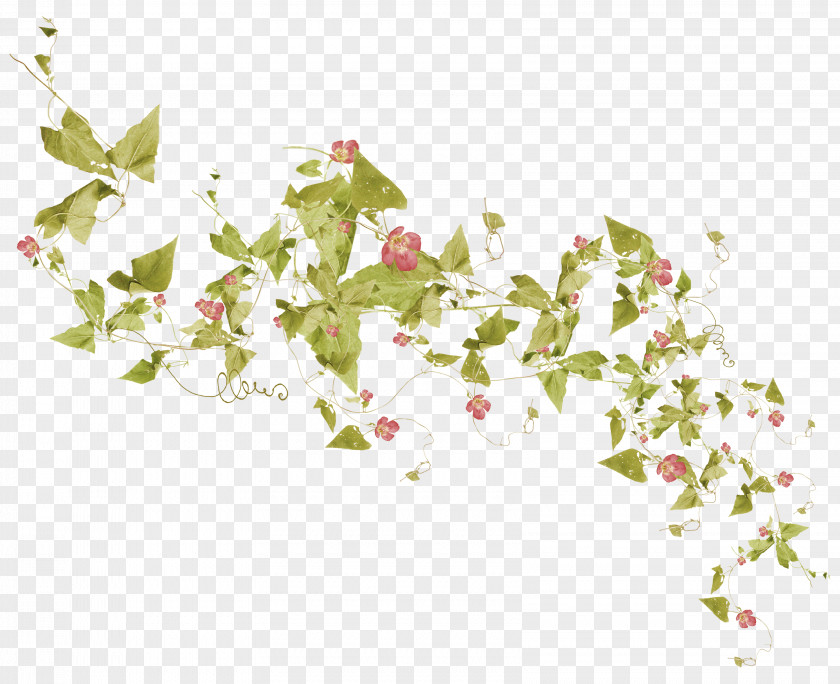 Plants Clip Art PNG