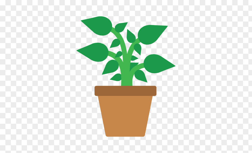 Potted Plants Escola Public Sant Jordi Houseplant Flowerpot PNG