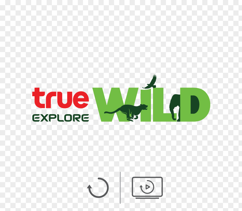 True Corporation ทรูไทยฟิล์ม Television Channel TrueVisions PNG