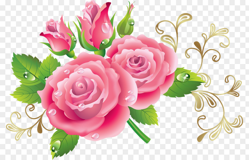 Attractive Peony Rose Flower Illustration PNG