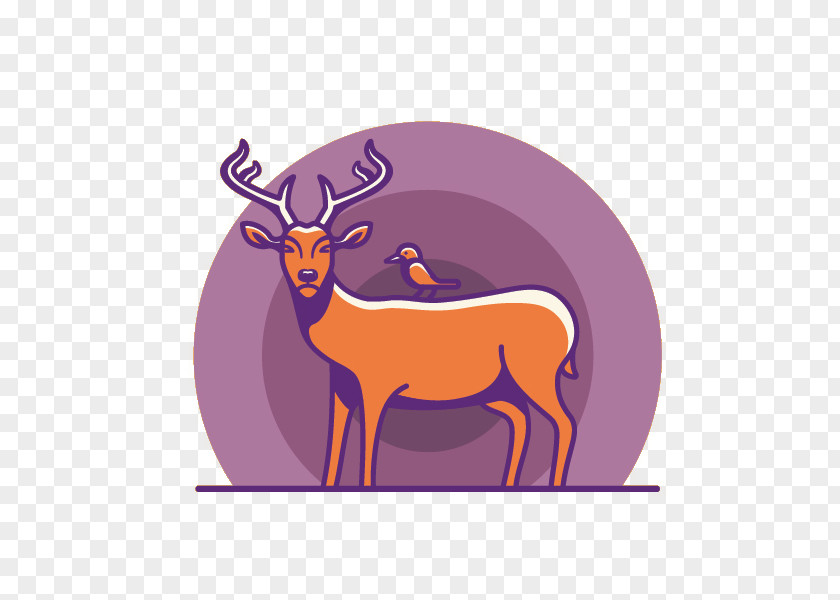Deer Illustration Reindeer PNG
