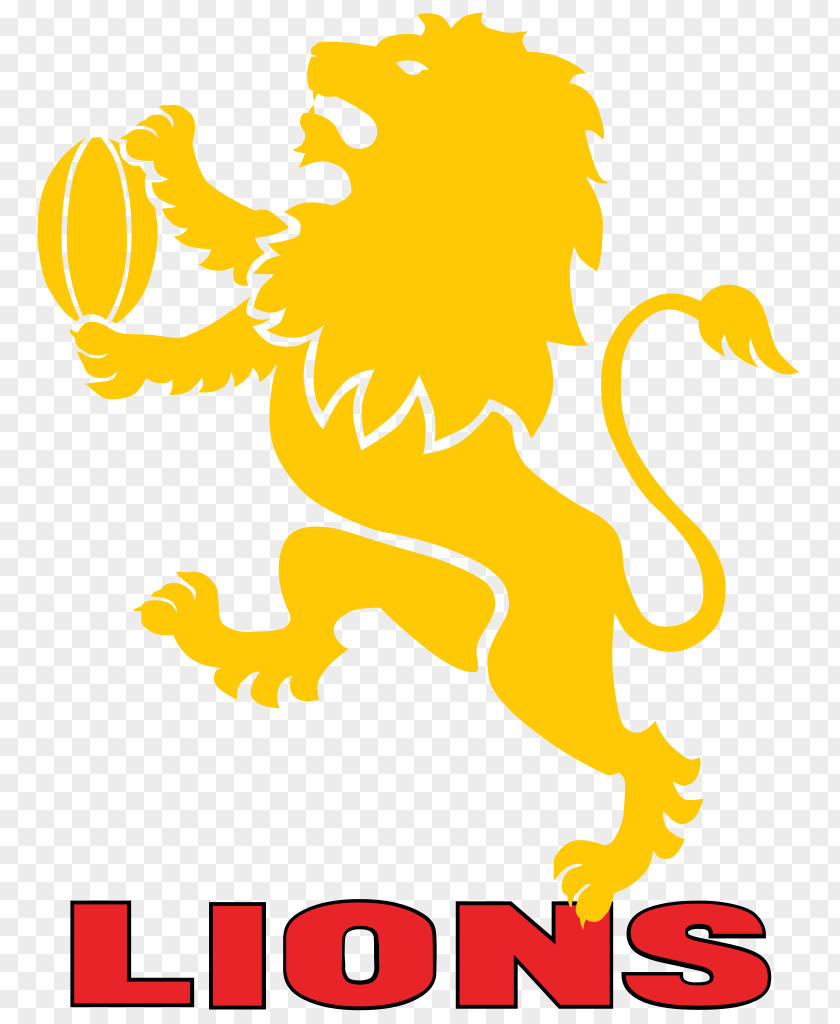 Lion Ellis Park Stadium Golden Lions Vodacom Cup Pumas PNG
