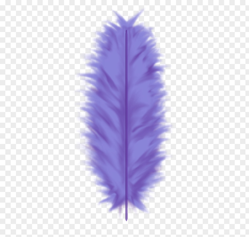 Plumas Feather PhotoScape Clip Art PNG